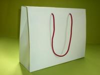 Art paper bags