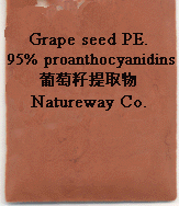 Grape Seed Extract