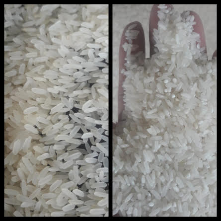 Rice For Export From India