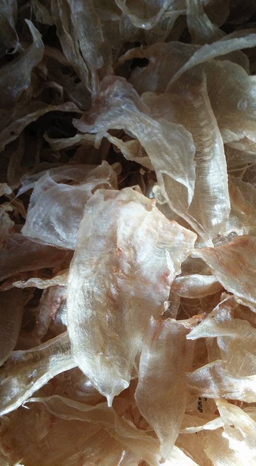 Dried fish maw 