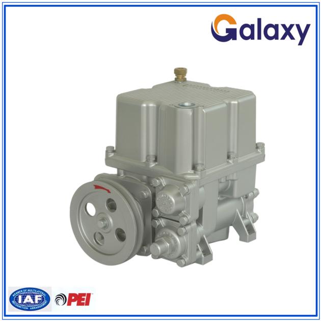 Vane Pump with Fuel Dispenser C/D