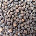 Black Pepper 