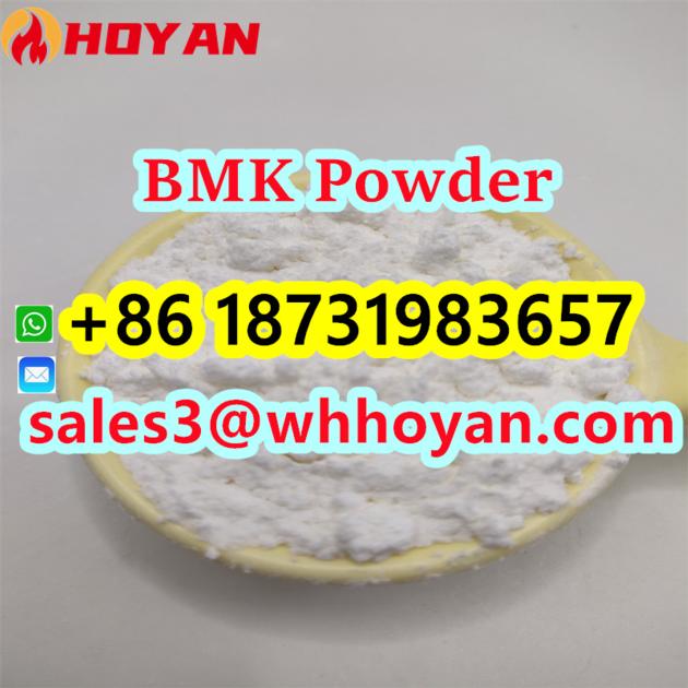 New BMK Powder CAS 5449 12