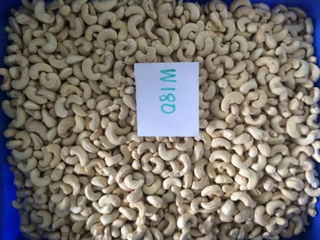 Cashew nuts kernel Kernels WW240/ WW320/ WW450/ WS/ LP