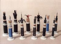 Radio-frequency Cable for Ship