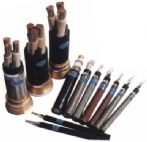 Power Cable with PVC Insulation and Sheath for Ship