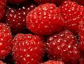 Raspberry extract 10:1 