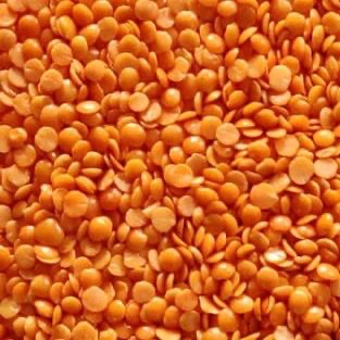 Red lentils for export From Canada