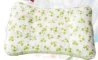 Jasmine Tea Health Care Pillow 