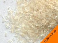 psyllium husk