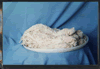 salted hog casings,salted sheep casings