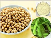 Soybean Extract- Isoflavones