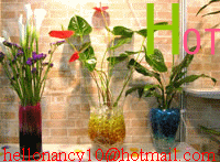 Water Beads green flower soil