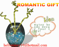 Water Beads wedding decor new flower soil