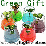 Water Beads for your plants and flowers