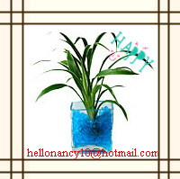 Water beads hot home and office decor 