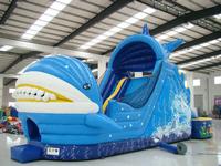 Shark water slide