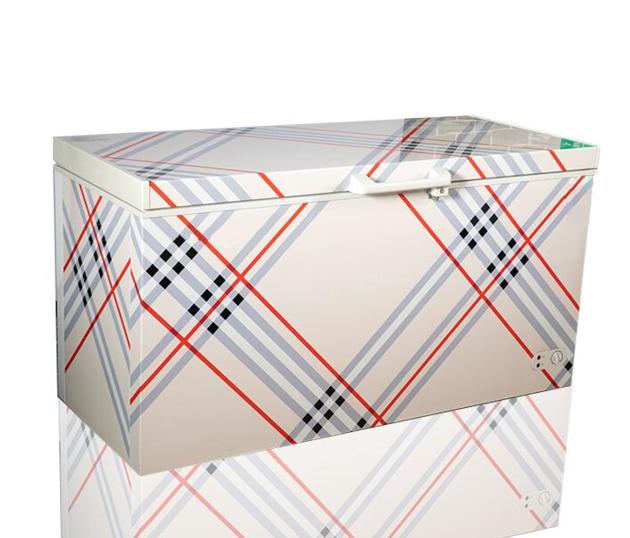 BD/BC-350QE 350L Inside Step Bottom Super Thick Euro Chest Freezer