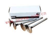 CUMMINS Exhaust valve/Inlet valve