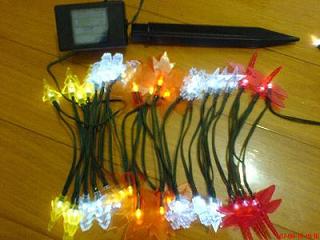 Solar Christmas Light