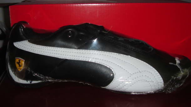 puma