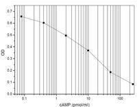 Monoclonal Anti-cAMP Antibody Based Direct cAMP EIA Kit without Acetylation