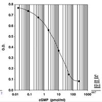 Monoclonal Anti-cGMP Antibody Based Direct cGMP EIA Kit without Acetylation