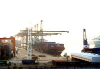 competitive Ocean freight to USA from China
