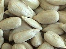 sunflower seeds