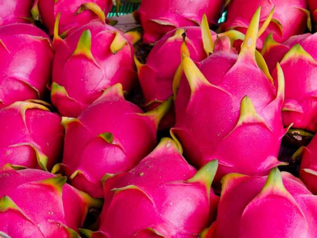 Dragon Fruit