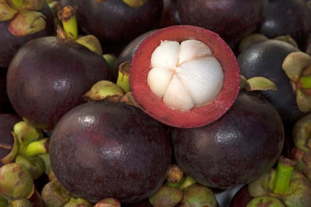 Mangosteen