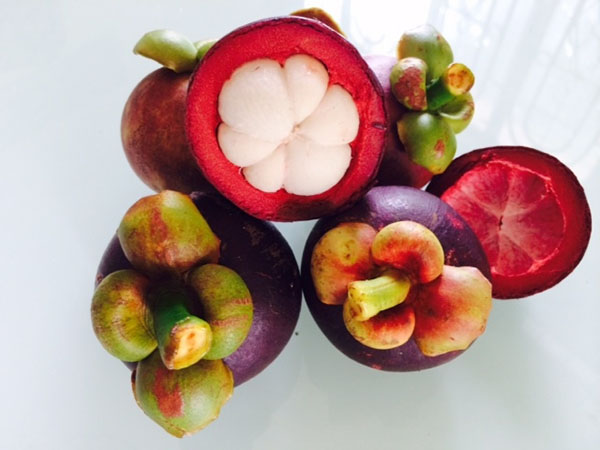 Mangosteen