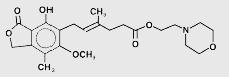 Mycophenolate Mofetil