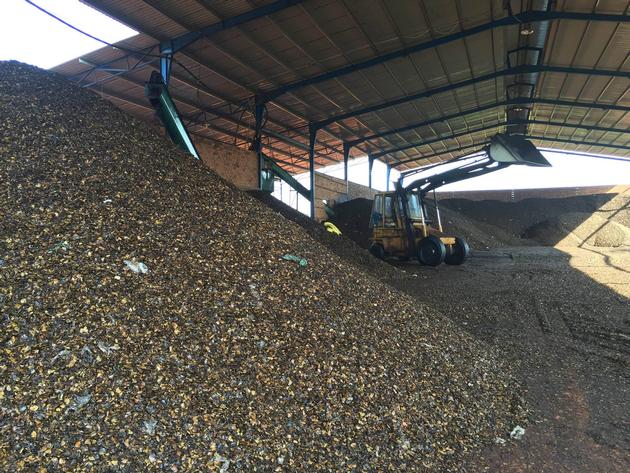 cashew nut shell extraction