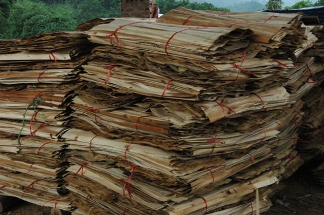 Export pre-processing wood provision
