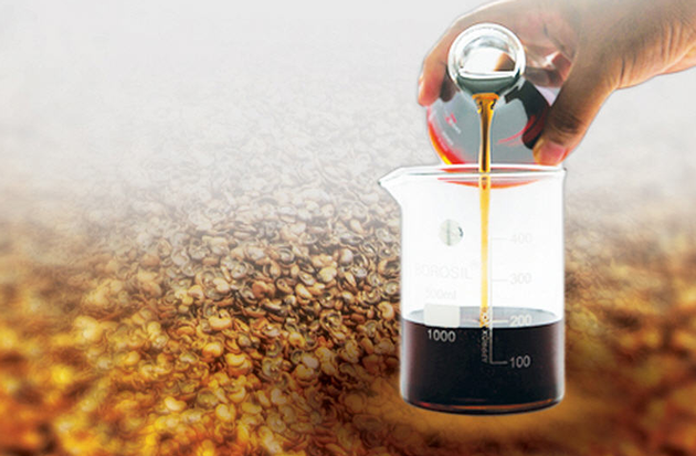cashew nut shell liquid 