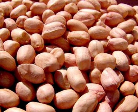 shelled peanuts