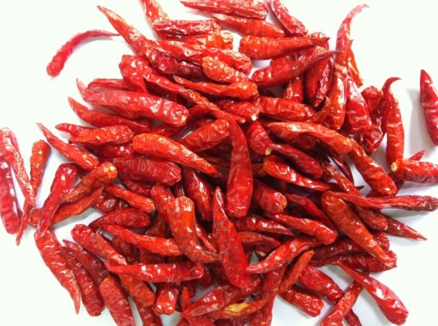 chilli