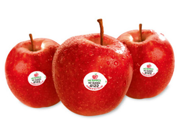 APPLES