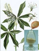 Horse Chestnut P.E.