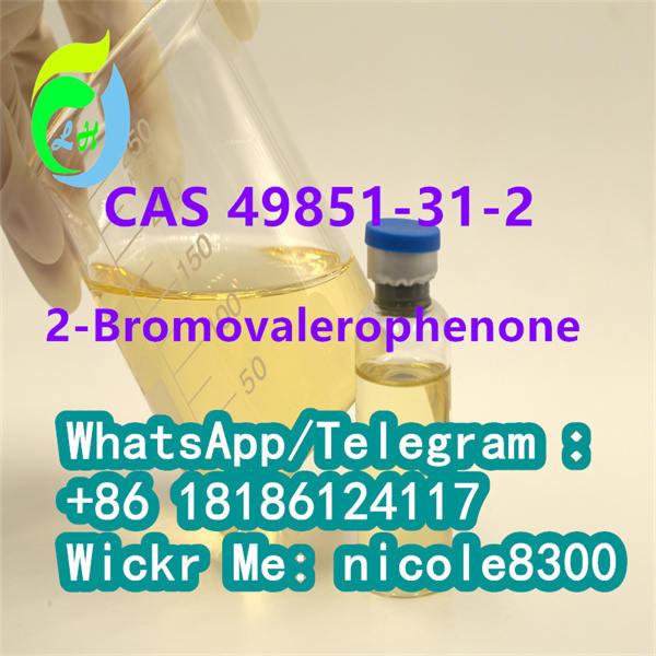 2-Bromovalerophenone CAS 49851-31-2 Dark brown liquid 99%