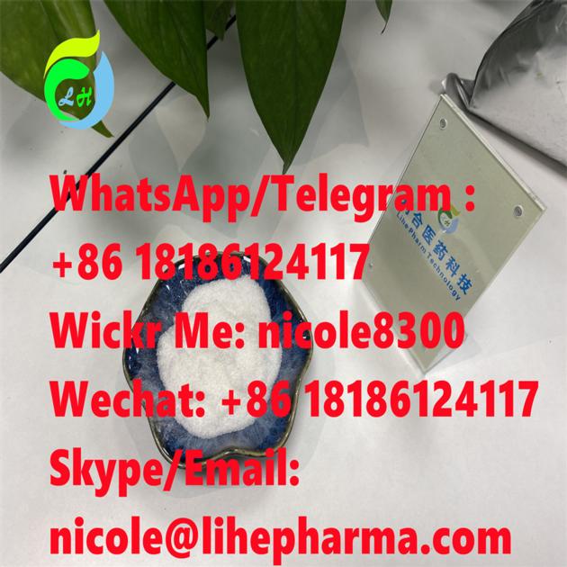 Methylamine hydrochlorideX CAS 593-51-1 White powder 99% in stock