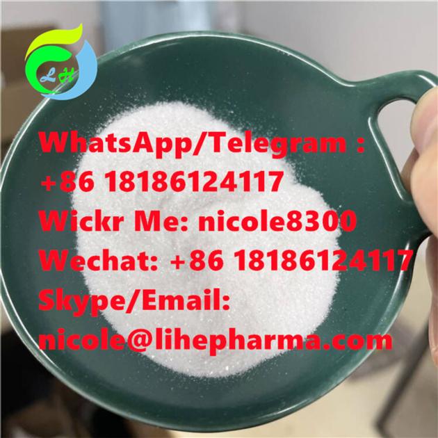 N-methylbenzamide CAS 613-93-4 99% White powder