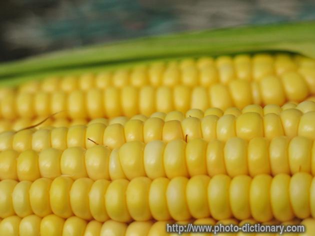 Yellow Corn