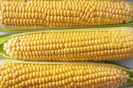 Yellow Corn