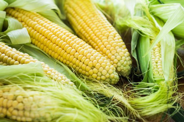 Yellow Corn