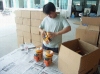 sell electric products inspection srtvice