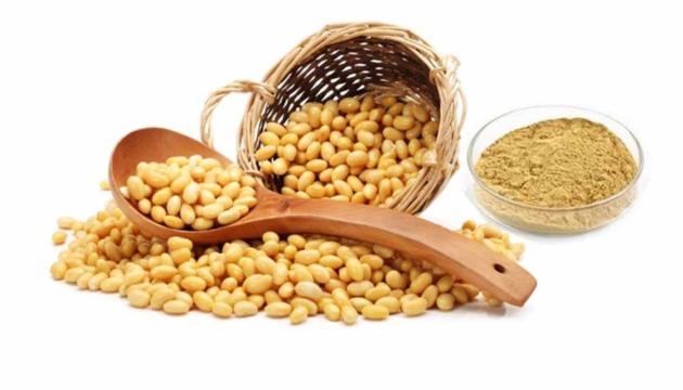 Soybean Isoflavones