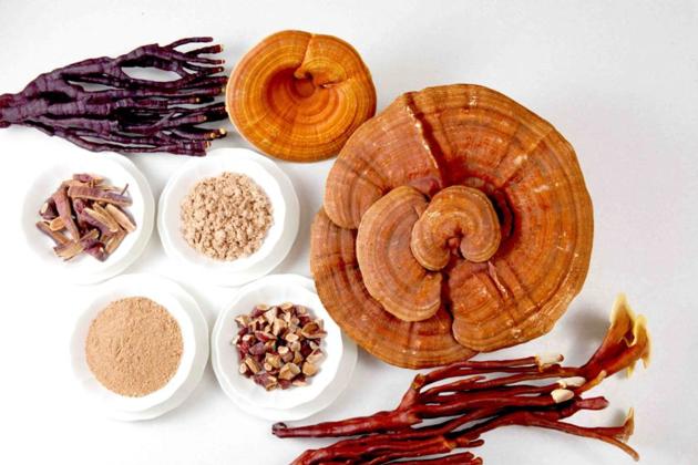 Reishi Extract