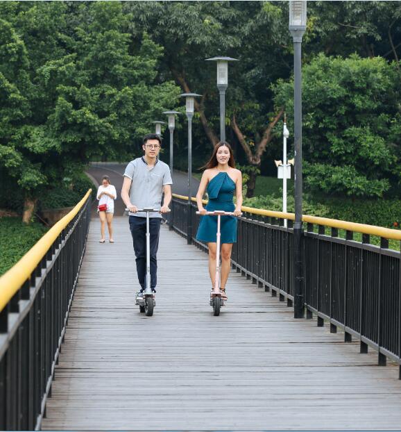 Collectiwits U6t Two Wheel Electric Scooter